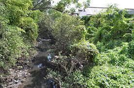 Duck Creek