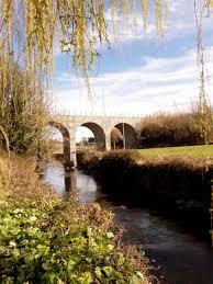Dodder Walk