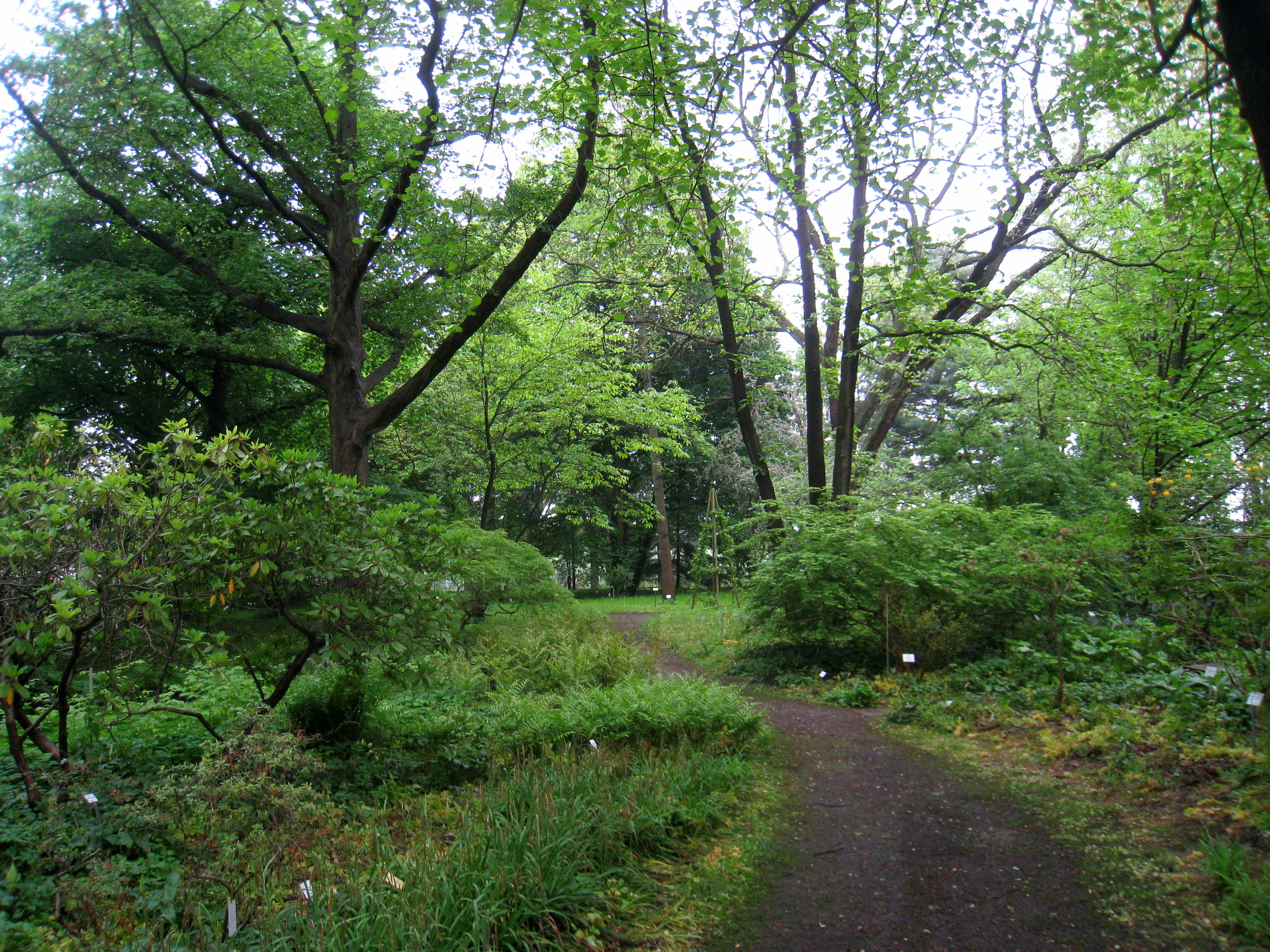 Spath-Arboretum
