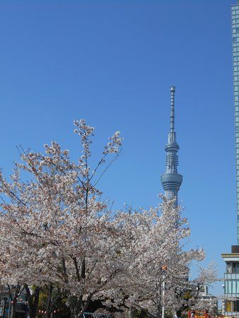 Kinshi Park