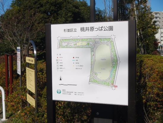 Momoi Harappa Park