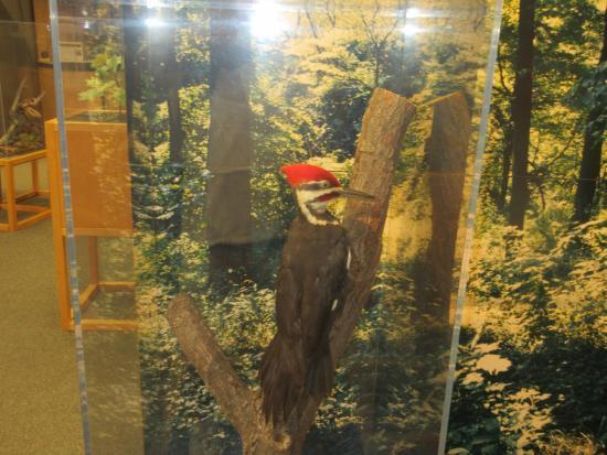 Rock Creek Park Nature Center and Planetarium