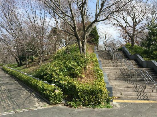 Kaze no Hiroba Park