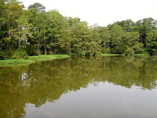 Hugh MacRae Park