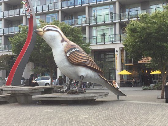 The Birds