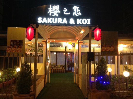 Sakura e Koi