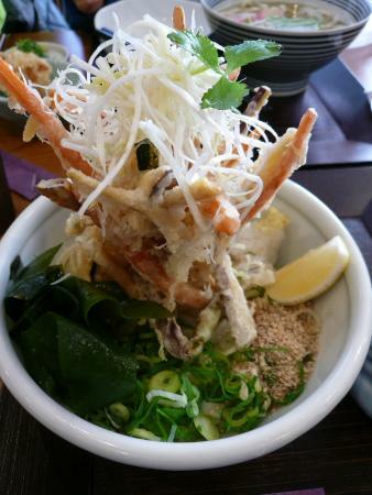 Hanawa Saku